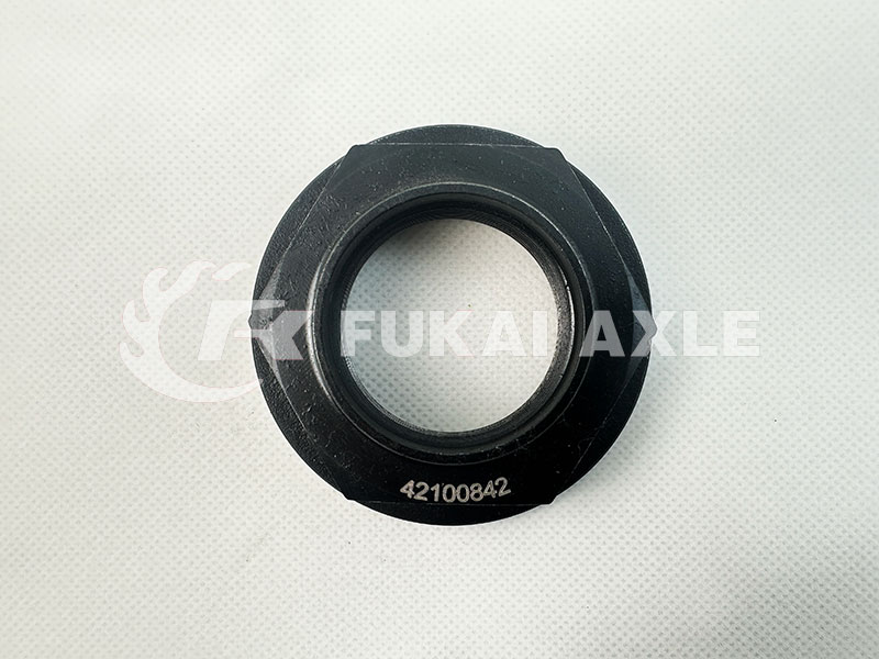 ايفيكو الجوز