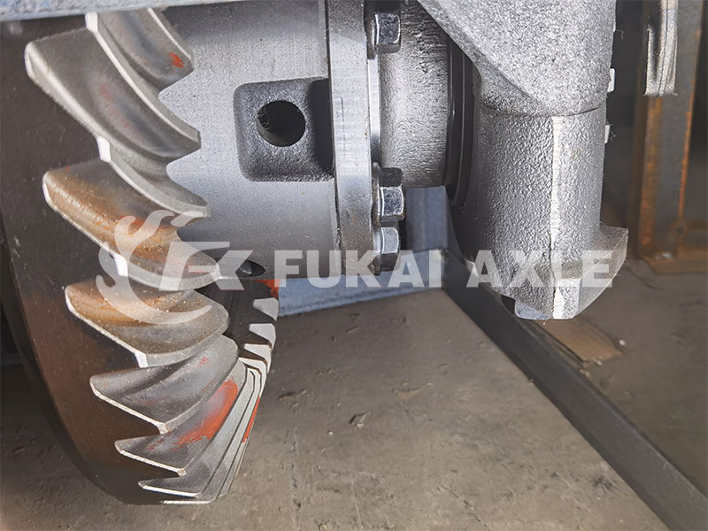 المحور الخلفي الجمعية المخفض الرئيسي